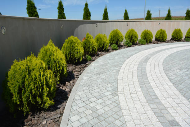 Best Driveway Paving Contractor  in Algonac, MI